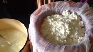 Творог из козьего молока