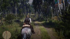 Red Dead Redemption 2 - RTX 4050 - Ryzen 5 7535HS - Acer Nitro 16 Battery Mode