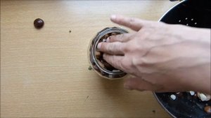 Печорская кулинария. Квашение горькушки. Тест-версия (полная-позже)