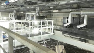 Новый рыбный завод в Кондопоге выйдет на полную мощность в следующем году