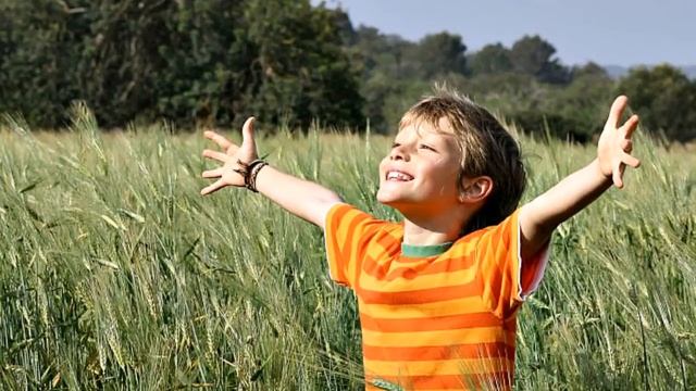 Продаётся участок 15 соток в КП "Волшебная страна". смотреть онлайн