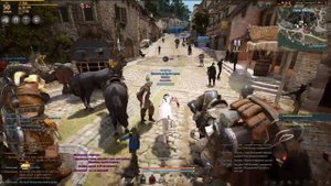 Black Desert - Квест "Время возвращать долги!", Отобрать долг у сбежавшего