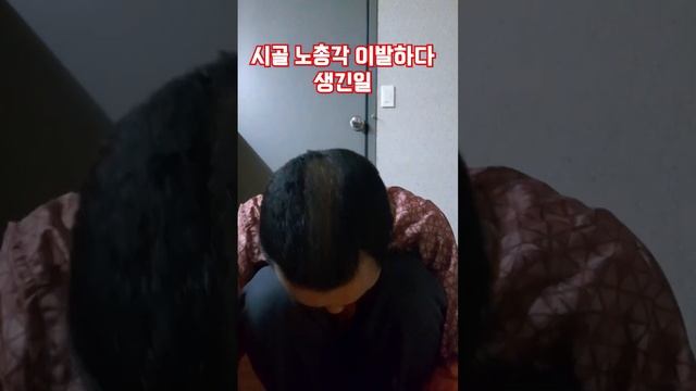 시골 60대 엄마랑 40대 노총각 아들 일상 이야기 입니다 / 이발하다 생긴일 / vlog