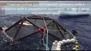 Бизнес новый плавучая рыбная ферма