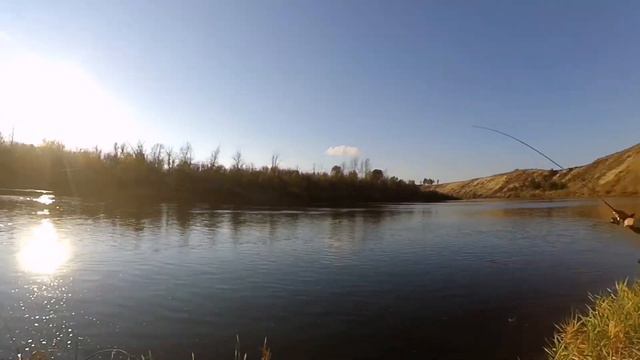 Разловил поролон!)) небольшие судачки и окунь на джиг,река Дон. смотреть онлайн