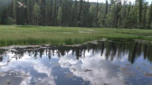 9 день Рыбалка 2023  Под этим заросшим Озером лежит Тунгусский метеорит #рыбалка #тайга #выживалово