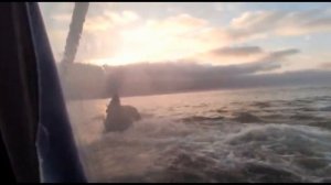 Преследование, задержание, наказание: астраханское УФСБ задержало браконьеров на Каспии