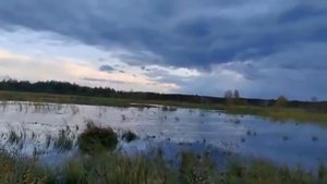 У ЛЮБОВЬ КИЕВ БЫЛ ДЕНЬ РОЖДЕНИЯ . ТИХА УКРАИНСКАЯ НОЧЬ ...