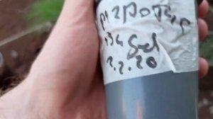 Эрагростис видная. Первый опыт выращивания из семян.