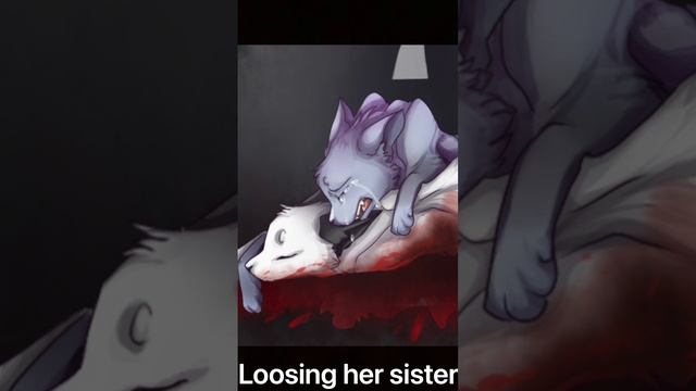 Warrior cats who went through the most pain смотреть онлайн