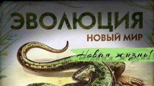 Играем в настольную игру " Эволюция. Новый мир "