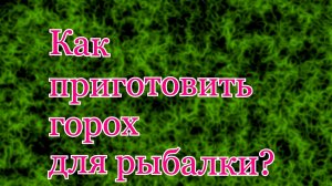 Как приготовить горох для рыбалки и насадить на крючок.mp4