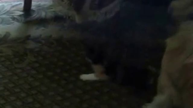 В движение