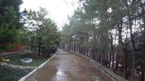 Санаторий Зеленая долина п  Ольгинка, Туапсинский район Краснодарского края 2020