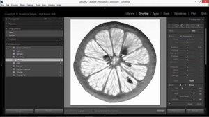 Корректирующая кисть в лайтрум. Как использовать Adjustment Brush в Adobe Lightroom?