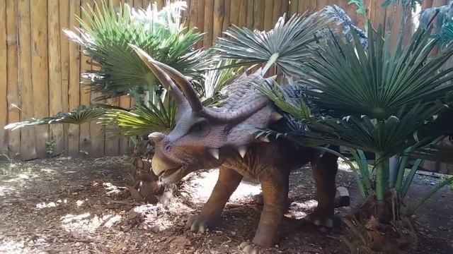 Новосибирский динопарк.