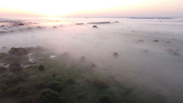 Природа музыка для сна спокойная музыка смотреть онлайн