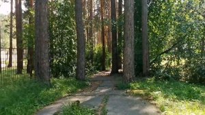 Черемушки Хакасия ЗАБЫТЫЙ РАЙ? Юг Сибири КУДА ИСЧЕЗАЮТ ЛЮДИ? Лесные Таежные правды жизни