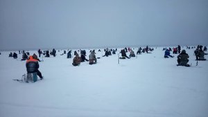 Ладога, Чёрное. 3.12.2016
