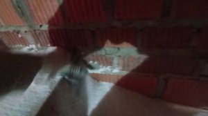 Утепление чердачного перекрытия ПЕРЛИТОМ. Зимние замеры тепловизором