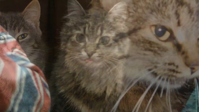 Моё фото 3! смотреть онлайн