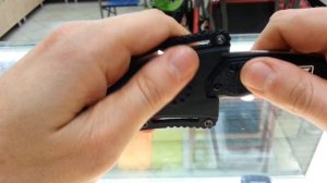 SoG GAMBIT-моя ж ты лапа...