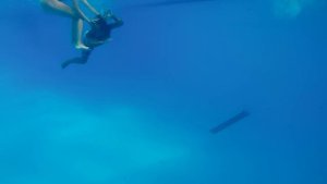 Girl attack underwater 2015 funny event.
