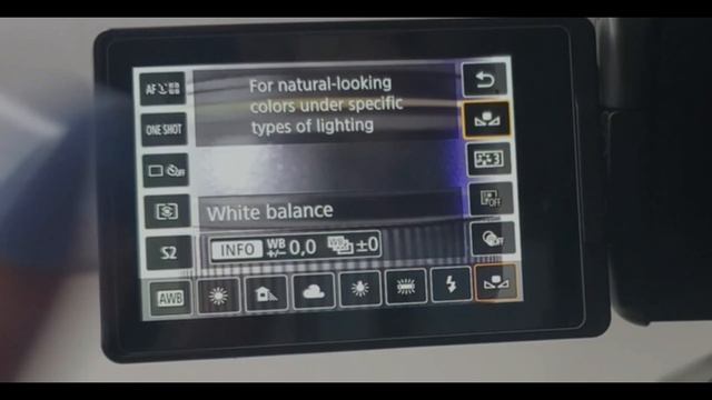 Best Canon EOS SL2/2000D Cinematic Settings смотреть онлайн