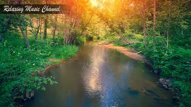 Успокаивающая Музыка для Релаксации и Медитации Пианино: Гипнотическая Музыка для Сна и Лечения Аур смотреть онлайн