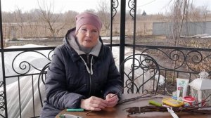 Почему прививки деревьев не приживаются. Прививка вишни, черешни и др. косточковых.