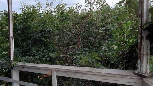 ДАЧА / ИНЖЕНЕР ПОСТРОИЛ ДАЧУ СВОЕЙ МЕЧТЫ / ЧУДО-ДАЧА