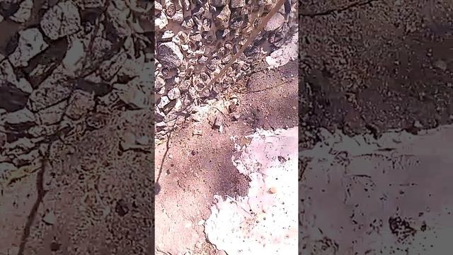 Гнездо ос часть2 смотреть онлайн