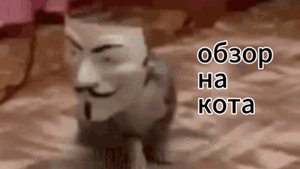 кот из преисподнеи