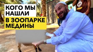 Хадж 2022 #3 | Крутое место рядом с мечетью Куба | Дневник Мусульманина
