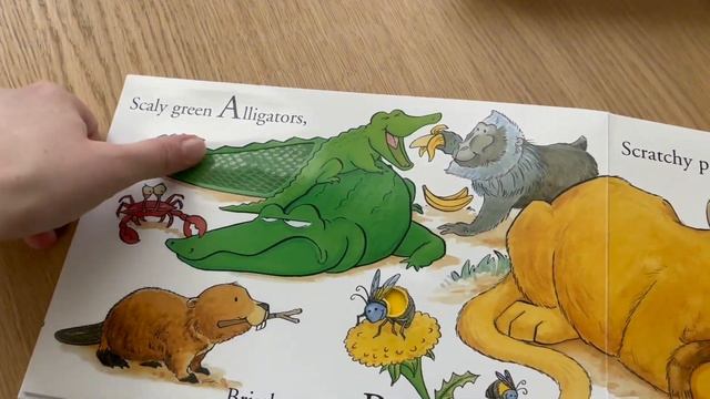 Обзор книг Морды и Зоопарк Мэтью Ван Флита -  Первые интерактивные книги для малышей 1+