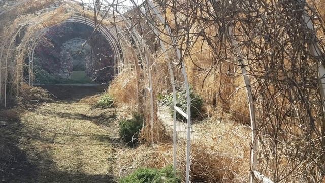 Начинаем весеннюю обработку сада | Розы. Клематисы. Гортензии. смотреть онлайн