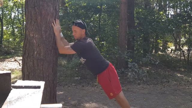 лучшие упражнения на трицепс смотреть онлайн