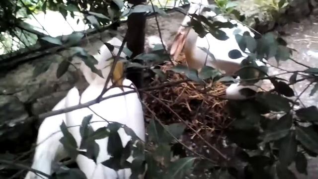 "Сказка" Крым Ялта смотреть онлайн