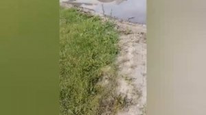 Первый раз ехал с полуприцепом...