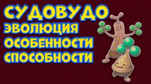 СУДОВУДО. ЭВОЛЮЦИЯ, ОСОБЕННОСТИ, СПОСОБНОСТИ