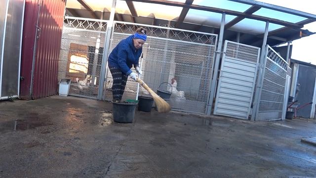 НАДО УБРАТЬ ДОМ ,ПРЕЖДЕ ЧЕМ ПРИЕХАТЬ?? ПОСЛЕ ДОЖДЯ ВСЕ БЫСТРО СОХНЕТ? смотреть онлайн