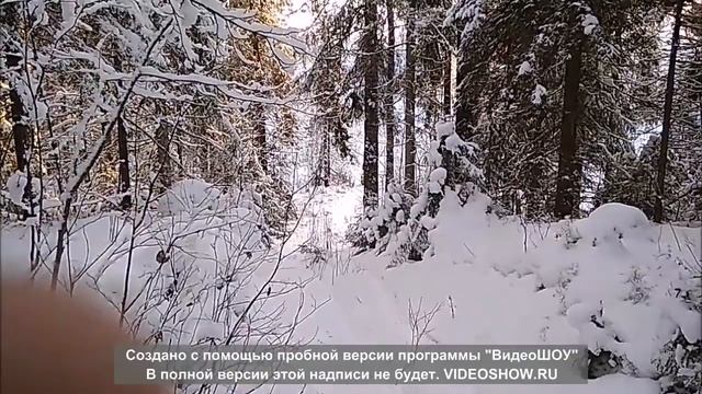 Вывозит мужиков из леса мотобуксировщик МУЖИК. смотреть онлайн