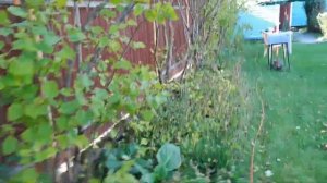 Дебит 100 литров в час это не приговор!!!Абиссинская скважина на минималках.