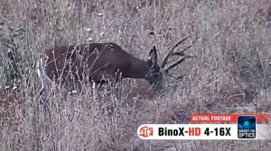 Цифровой бинокль ATN BinoX HD 4-16X