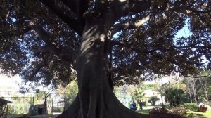 ХАНЬЯ Греция КРИТ / Что посмотреть в городе