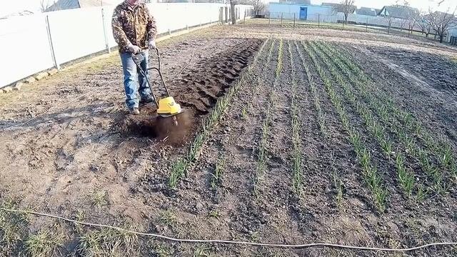 КУЛЬТИВАТОР И ЕГО РЕАЛЬНЫЕ ВОЗМОЖНОСТИ ПОСЛЕ МОДЕРНИЗАЦИИ.   КАК ПОДГОТОВИТЬ ПОЧВУ К ПОСАДКЕ