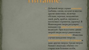 Бенгальский тигр -  подвид тигра родственник амурских тигров