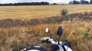 Обзор Lifan KP 250