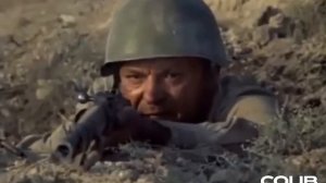 Отстрел пьяной собаки.