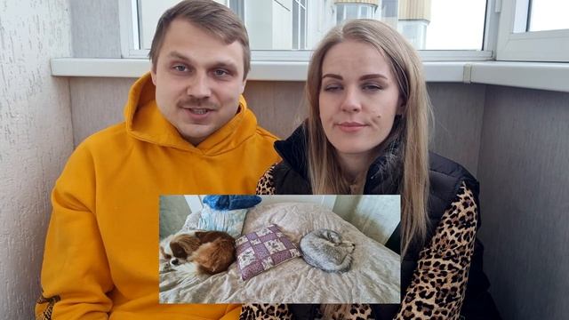 Знакомство с нами. Отношения. Питомцы. Беременность. смотреть онлайн